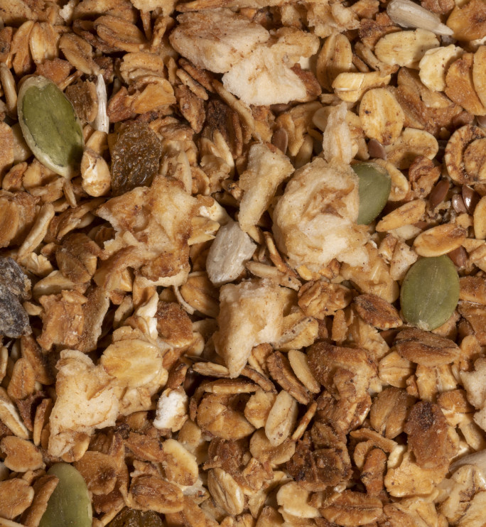 Paleo Granola Mini